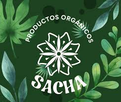 sacha